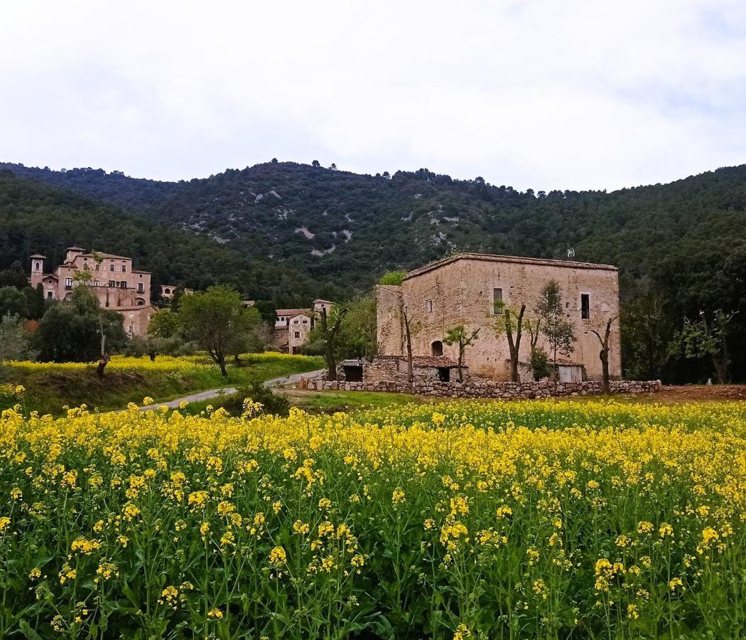 Апартаменты El Castell De Seguero Беуда Экстерьер фото